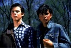 Torchwood C. Thomas Howell, Dans The Outsiders 