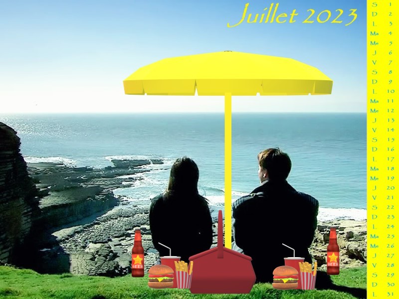 Calendrier du mois de Juilet 2023 : Pique nique en bord de mer pour Jack et Gwen